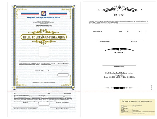 [CEL-301] Titulo de servicio general
