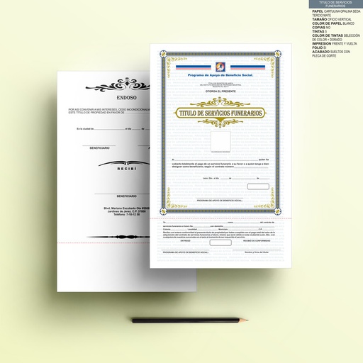 [LEO-301] Titulo de servicio general