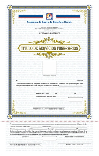 [MXL-305] Titulo de servicio general