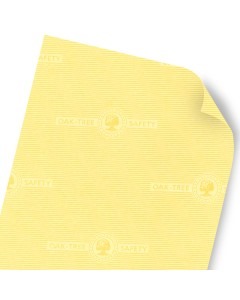 [PF-507] Papel Seguridad
